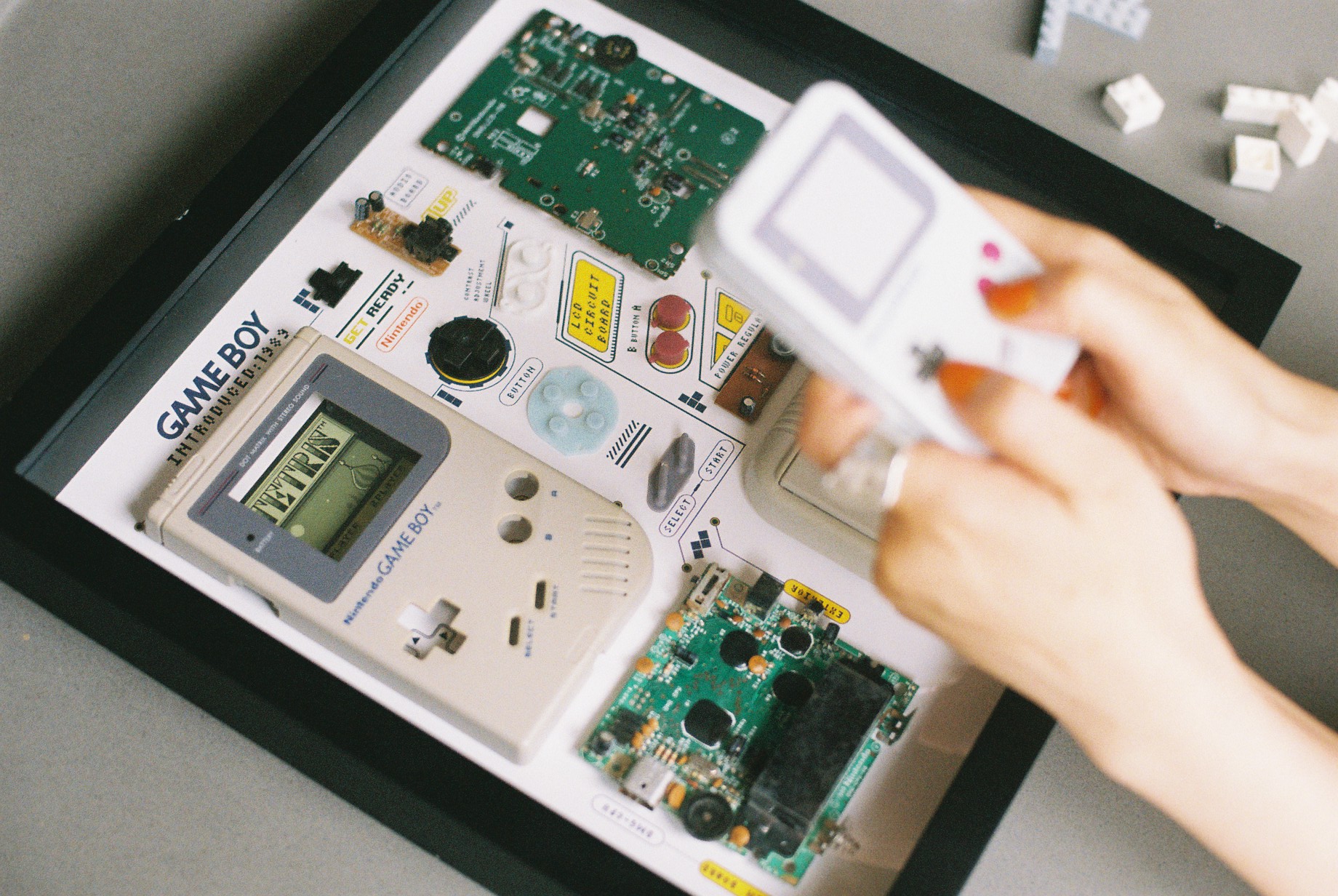 最終値下】Grid Studio ゲームボーイポケット 分解 標本 アート